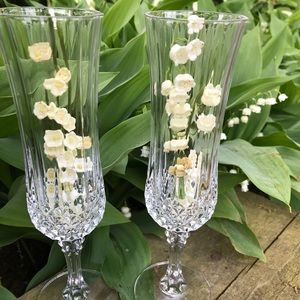 Leaded Glass Champagne Flutes